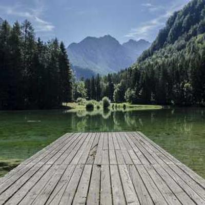 Atelier d&rsquo;initiation à la photographie : le regard avant la technique